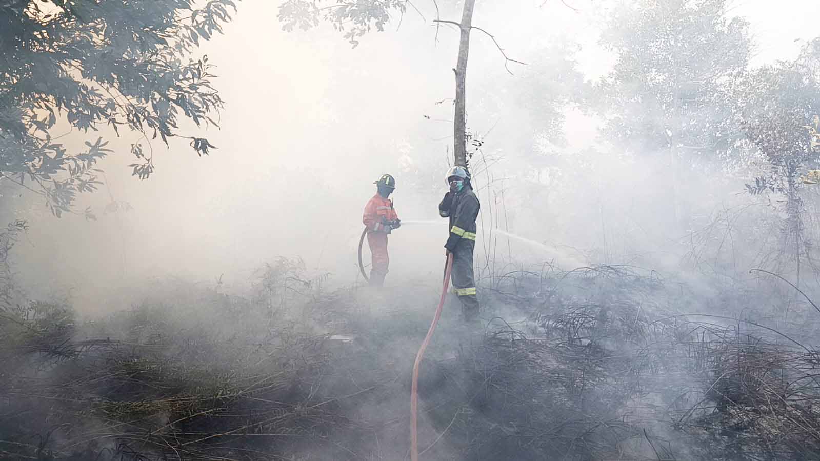 Baru Tanggal 5 September, UPTD Damkar Sudah Tangani Empat Karhutla