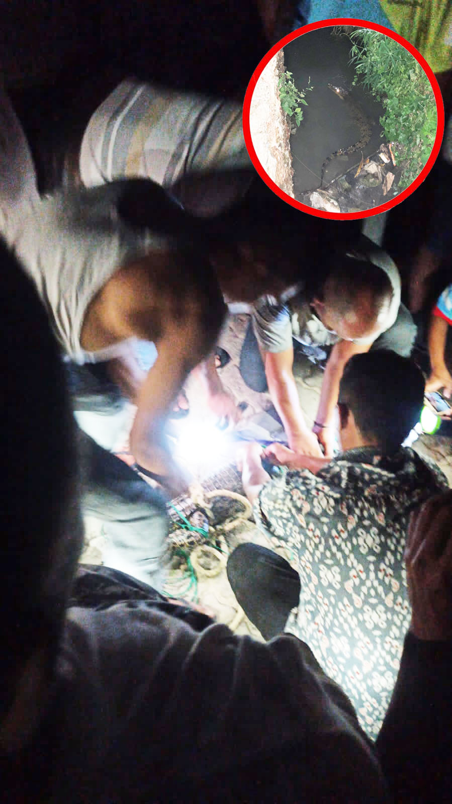 Seram! Ada Buaya 2 Meter Berkeliaran di Selokan Perumahan Telaga Surya